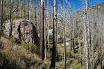 photo thumbnail #14