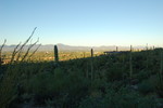 photo thumbnail #1