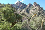 photo thumbnail #7