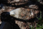 photo thumbnail #12