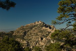 photo thumbnail #4