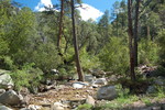 photo thumbnail #10