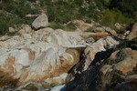 photo thumbnail #14