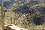 photo thumbnail #2