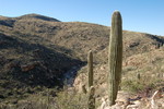 photo thumbnail #3