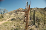 photo thumbnail #8