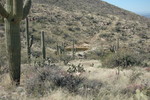 photo thumbnail #9