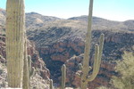 photo thumbnail #5