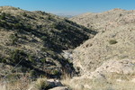 photo thumbnail #7