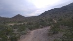 photo thumbnail #2