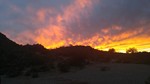 photo thumbnail #8