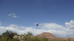 photo thumbnail #10