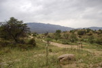 photo thumbnail #3