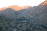 photo thumbnail #2
