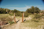 photo thumbnail #12