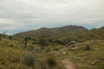 photo thumbnail #1