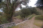 photo thumbnail #2