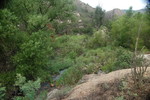photo thumbnail #7