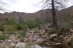 photo thumbnail #10