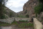 photo thumbnail #11