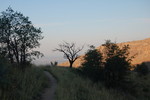 photo thumbnail #3