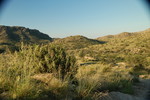 photo thumbnail #7