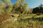 photo thumbnail #9