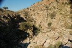 photo thumbnail #10
