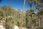 photo thumbnail #7
