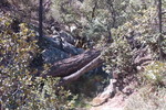 photo thumbnail #1