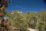 photo thumbnail #3