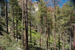 photo thumbnail #5