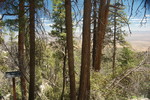 photo thumbnail #6