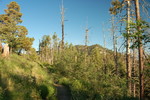 photo thumbnail #3