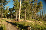 photo thumbnail #4