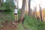 photo thumbnail #2