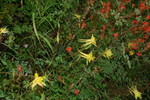 photo thumbnail #3