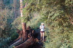 photo thumbnail #4