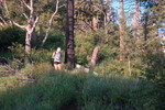 photo thumbnail #5
