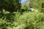 photo thumbnail #11