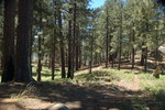 photo thumbnail #13
