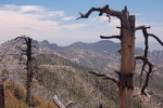photo thumbnail #14