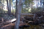photo thumbnail #9