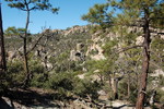 photo thumbnail #10