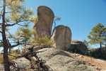 photo thumbnail #11