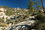 photo thumbnail #12