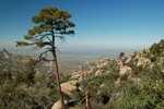 photo thumbnail #15