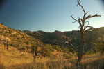 photo thumbnail #2