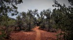 2017-04-09 :1: Cathedral Loop Plus :: tibber