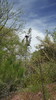 photo thumbnail #3